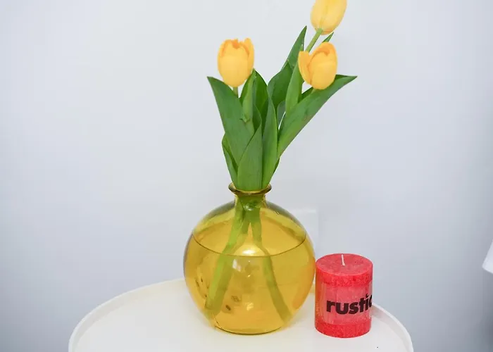 Lejlighed Old Town *